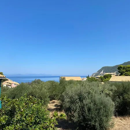 Guest house Pansion Vasso 3*